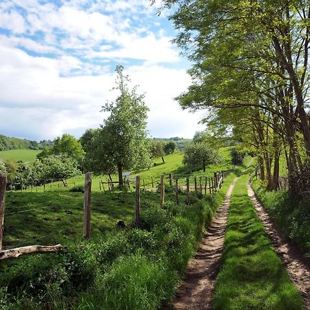 La Chapelle-Montligeon Le Bourgis Bed & Breakfast エクステリア 写真