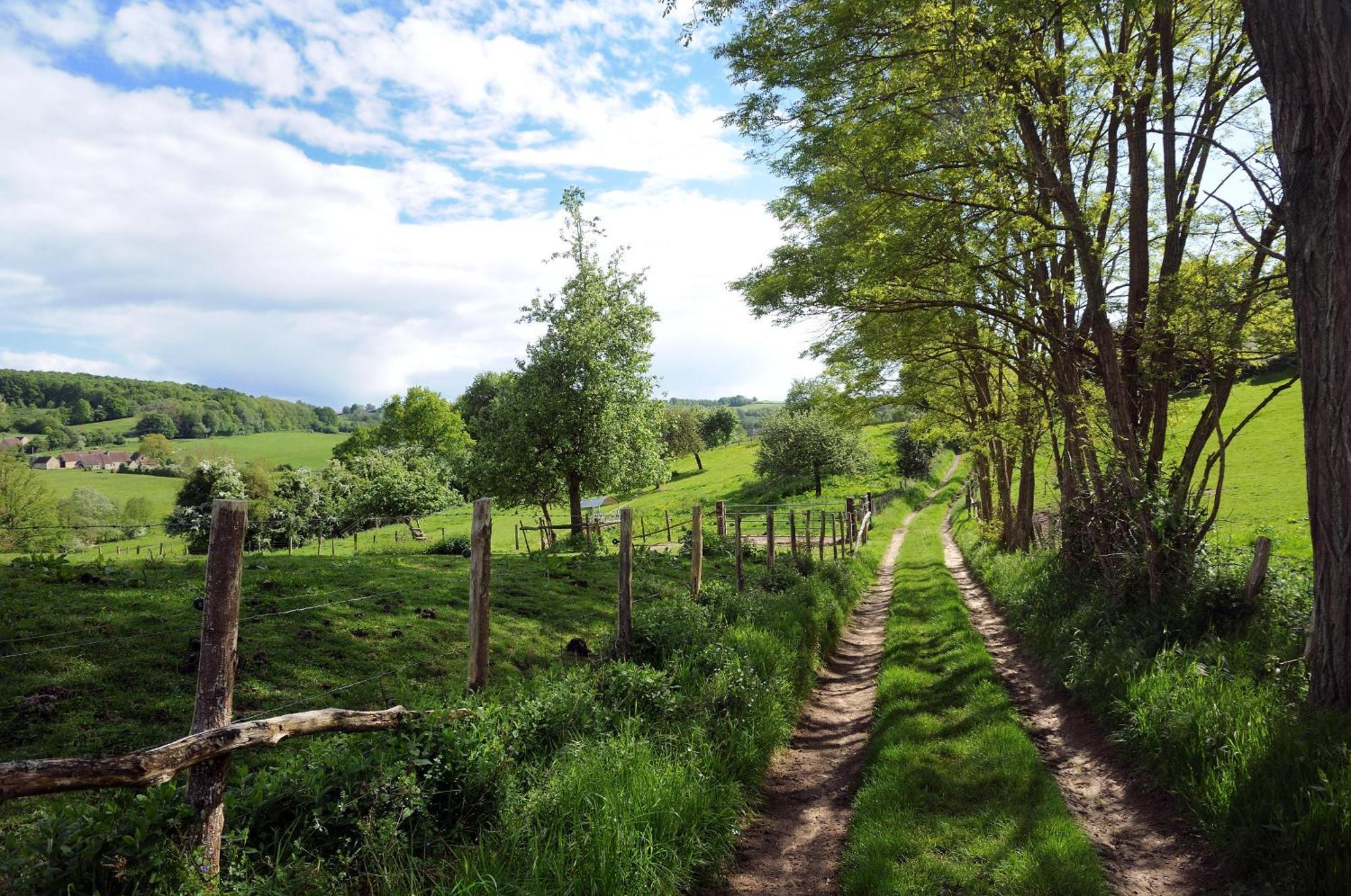 La Chapelle-Montligeon Le Bourgis Bed & Breakfast エクステリア 写真