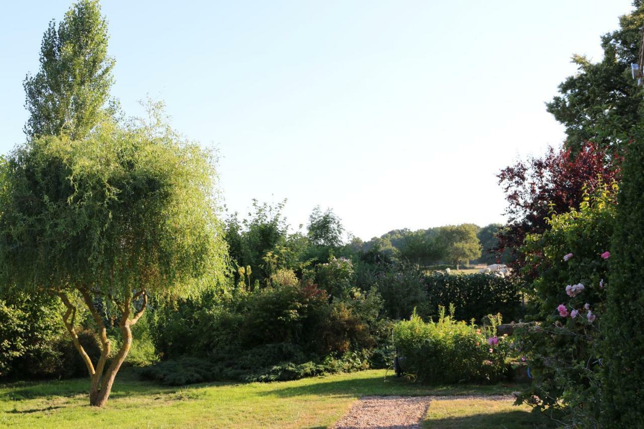 La Chapelle-Montligeon Le Bourgis Bed & Breakfast エクステリア 写真