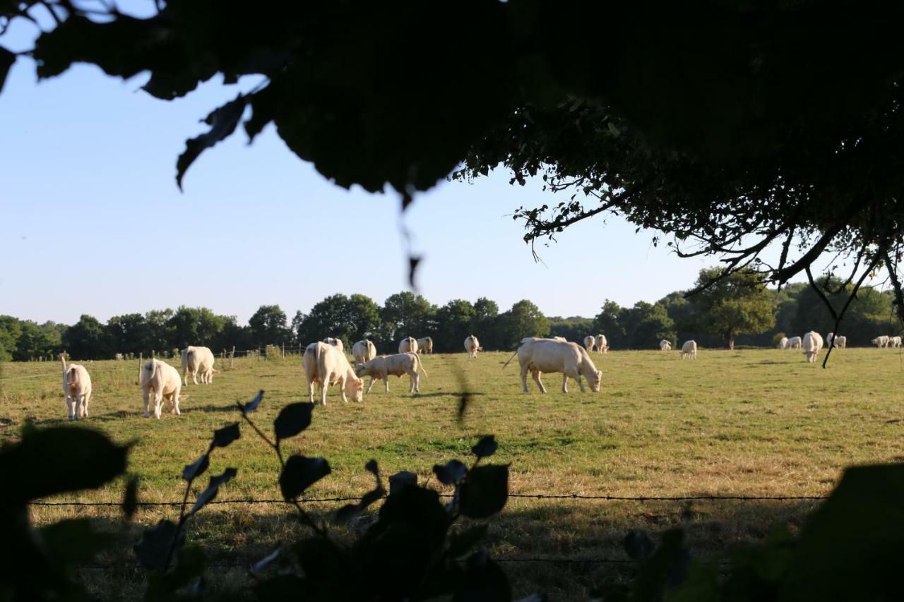 La Chapelle-Montligeon Le Bourgis Bed & Breakfast エクステリア 写真