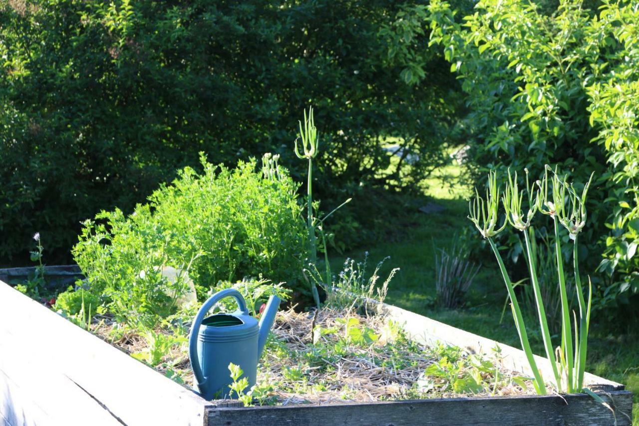 La Chapelle-Montligeon Le Bourgis Bed & Breakfast エクステリア 写真