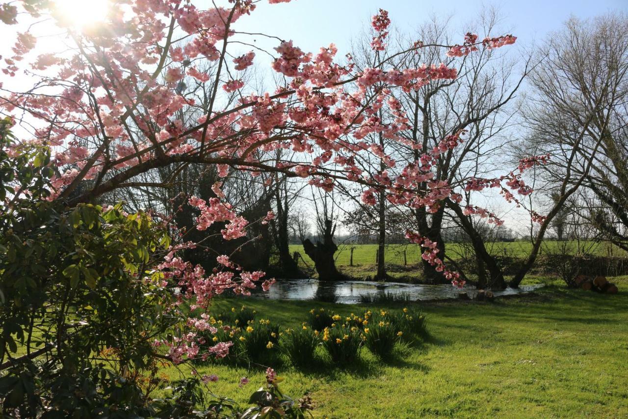La Chapelle-Montligeon Le Bourgis Bed & Breakfast エクステリア 写真